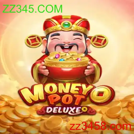 MoneyPotDELUXE